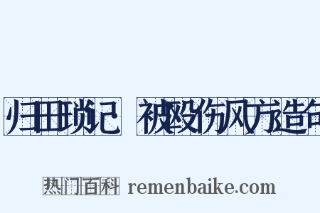 归田琐记·被殴伤风方造句是什么意思的图片